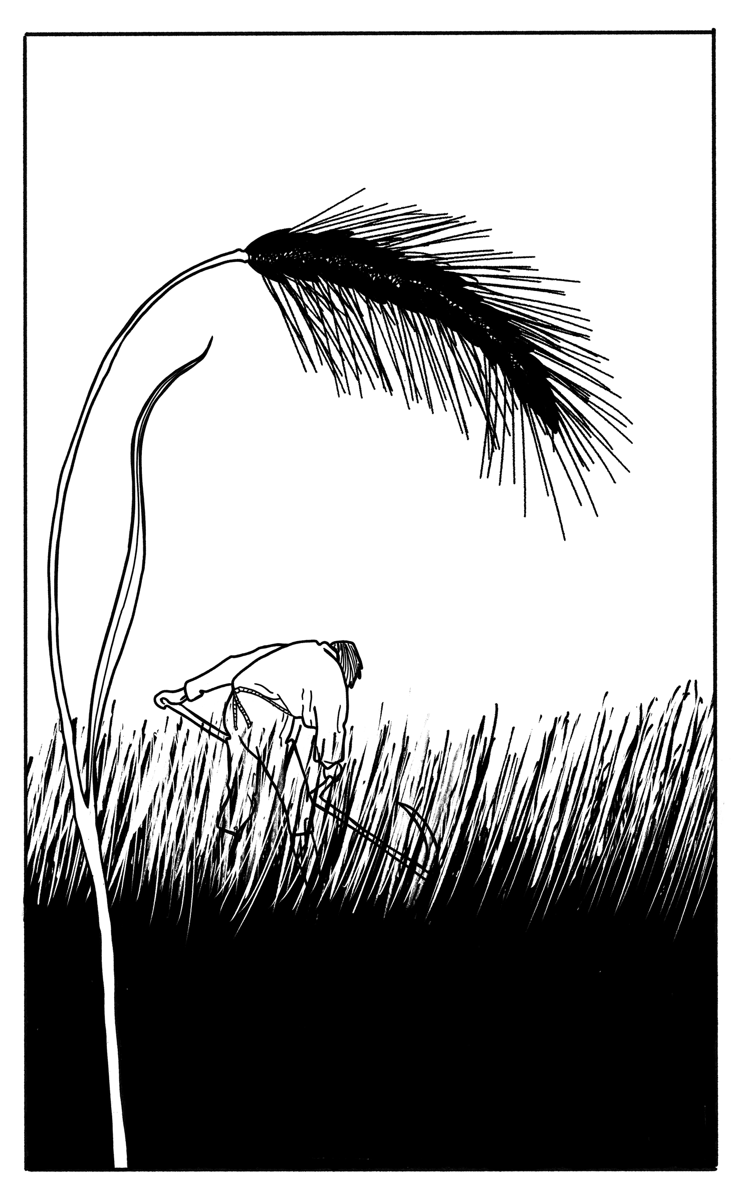 A heavy ear of grain arches over a dark field of tall grass.