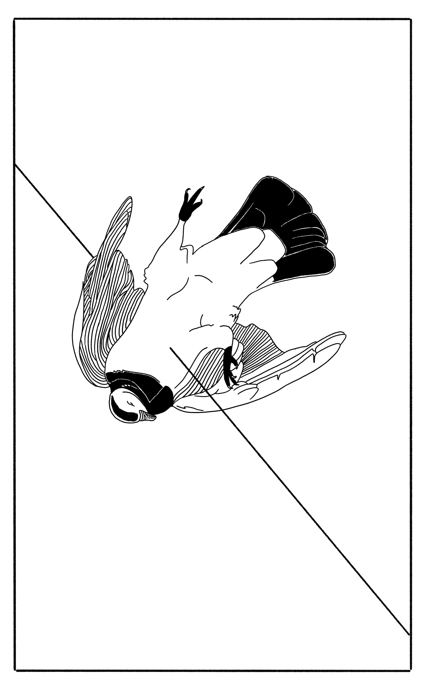 A partridge falls with its wings spread, crossed by a diagonal line marked with a small X.